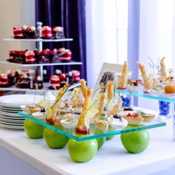 Ti_Catering_Estonia_embassy20